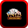 vn123vorg