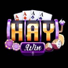 haywin2026io