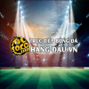 socolivezatv