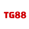 tg8889net