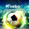 vebozbtcc